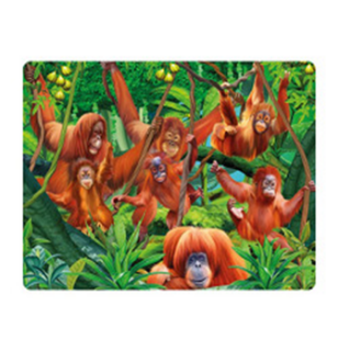 Obrázek z Pohlednice 3D 16cm - orangutan (25) 